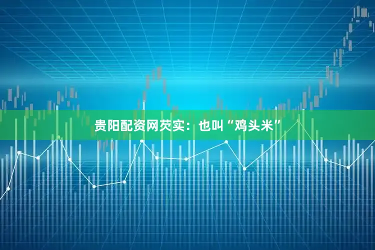 贵阳配资网芡实：也叫“鸡头米”