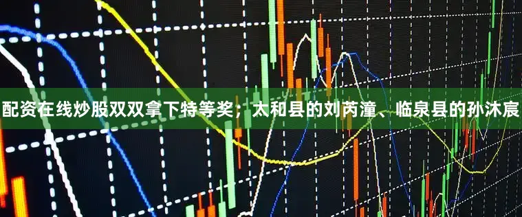 配资在线炒股双双拿下特等奖；太和县的刘芮潼、临泉县的孙沐宸