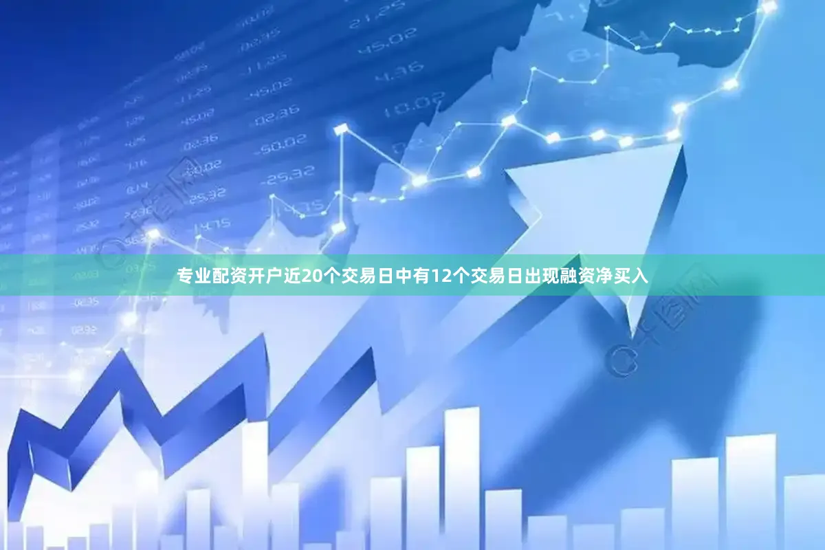 专业配资开户近20个交易日中有12个交易日出现融资净买入