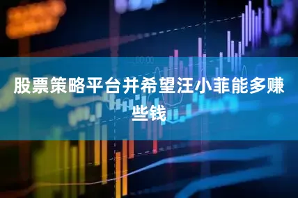 股票策略平台并希望汪小菲能多赚些钱