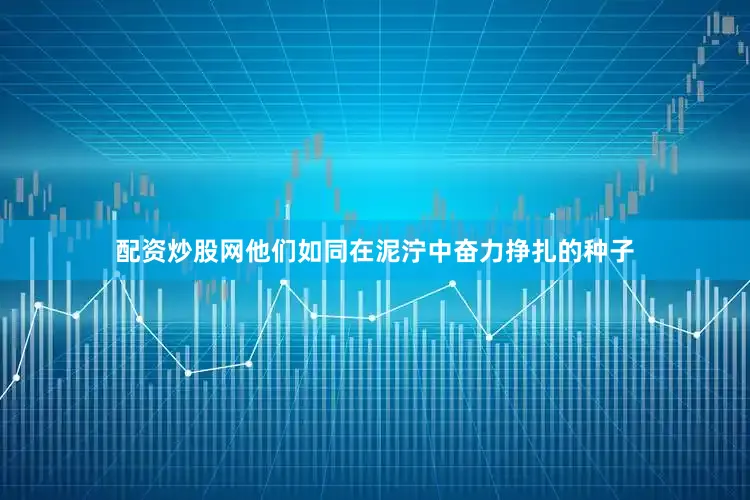 配资炒股网他们如同在泥泞中奋力挣扎的种子