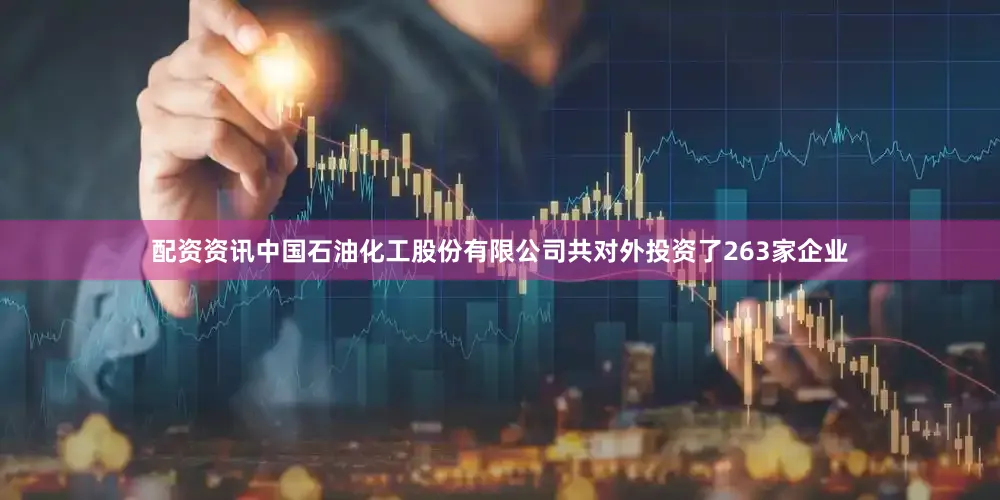 配资资讯中国石油化工股份有限公司共对外投资了263家企业