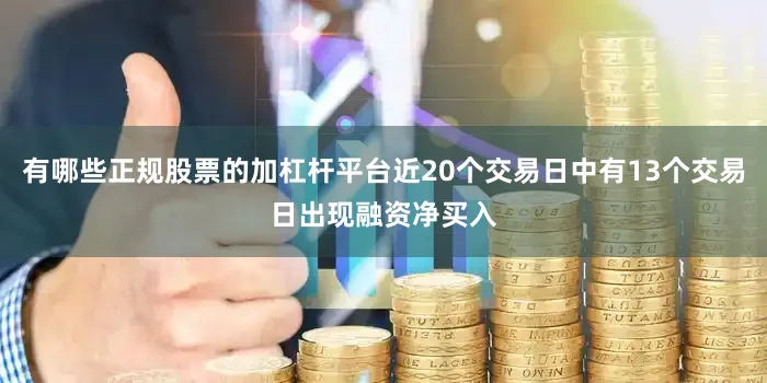 有哪些正规股票的加杠杆平台近20个交易日中有13个交易日出现融资净买入